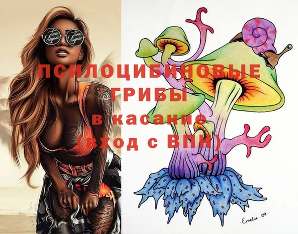 гидропоника Магас