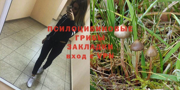 тгк Майский