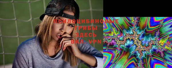 гидропоника Магас
