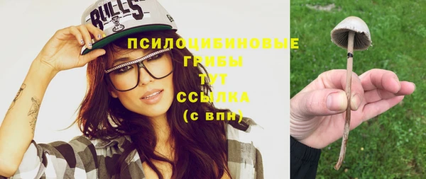 гидропоника Магас