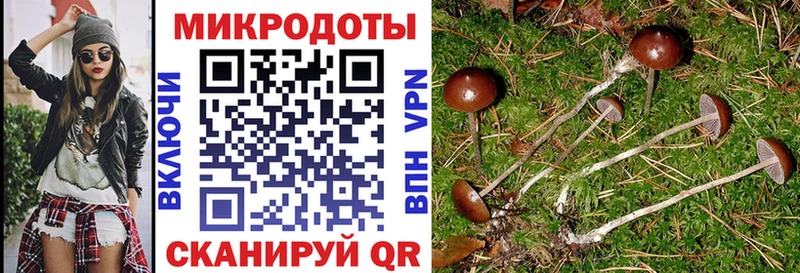 Купить где  Тайшет  Псилоцибиновые грибы ЛСД 